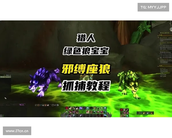 魔兽世界怀旧服猎人传送攻略